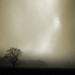 William Peckham Photo 31