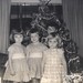 Lynn Pattison Photo 22