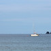 Kerry Ard Photo 17