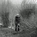 Richard Paton Photo 34