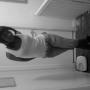 Jamie Hickson Photo 20