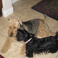 Barbara Heald Photo 4