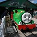 Thomas Land Photo 36