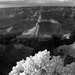 Clarence Sharp Photo 23