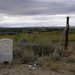 Alfred Cochran Photo 18