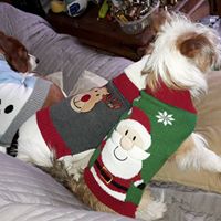 Maggie Fleming Photo 2
