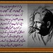 Ahmed Siddique Photo 30