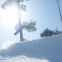 Trent Warren Photo 19