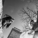 Todd Fitch Photo 33