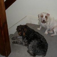 Sheryl Phillips Photo 1