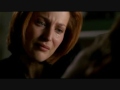 Amy Scully Photo 23