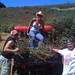 Kathy Abel Photo 28