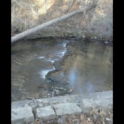 Craig Hebert Photo 13