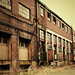 Anthony Conti Photo 40