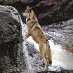 Marion Connors Photo 7