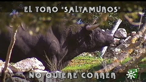 Cayetano Munoz Photo 3