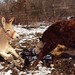 Julie Choate Photo 33