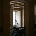 Peter Giannini Photo 25