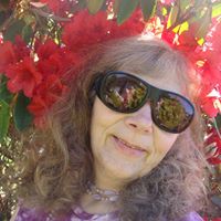 Sally Lamb Photo 1