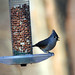 Brian Tufts Photo 27