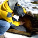 Stacy Ring Photo 28