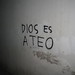 Jonathan Fortes Photo 21