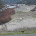 Ralph Cutter Photo 12