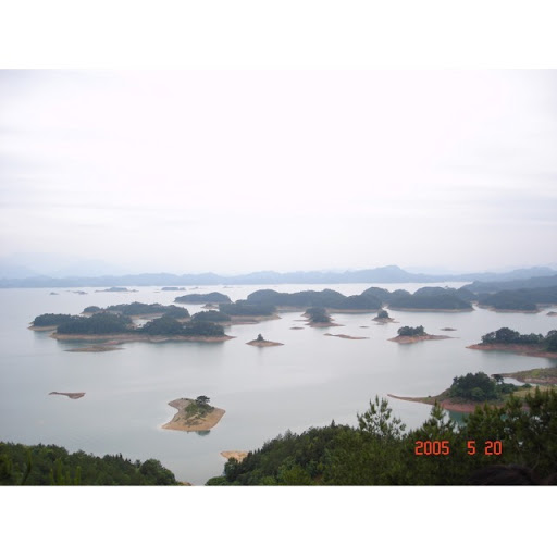 Jin Niu Photo 9