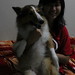 Sandy Woo Photo 33