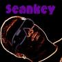 Sean Key Photo 19