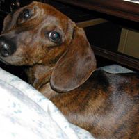 Jamie Helms Photo 2