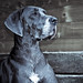 Chris Timmerman Photo 46