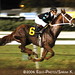 Erick Lopez Photo 41