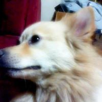 Kyle Abbott Photo 6