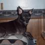 Sheila Combs Photo 20