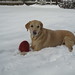 Cody Winter Photo 28