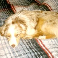 Kathi Stephens Photo 6