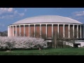 Cherry Shafer Photo 7