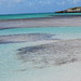 Mary Cays Photo 15