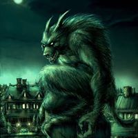 Ginger Wolf Photo 2