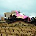 Frank Rosa Photo 33
