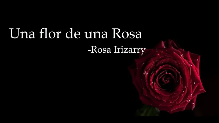 Rosa Irizarry Photo 30