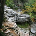 Sheldon Peters Photo 36