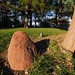 John Bascom Photo 30