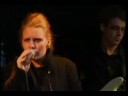 Anna Nygaard Photo 17
