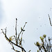 Mark Maskell Photo 25