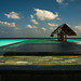 David Antos Photo 13