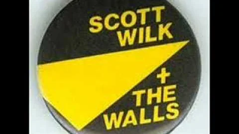 Scott Wilk Photo 33
