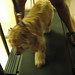 Angela Coby Photo 10