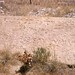 Walter Lyman Photo 19